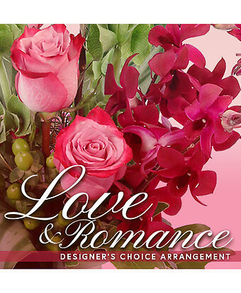 Love &amp; Romance