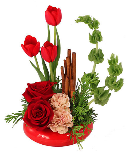 Red Hot Roses &amp; Tulips