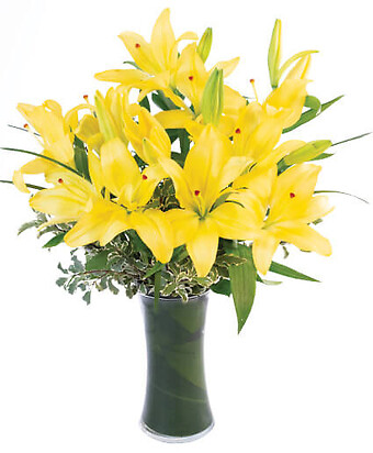 Yellow Lilies