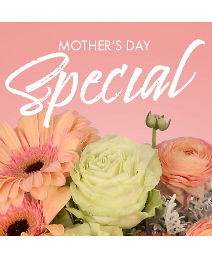Mother&#039;s Day Special