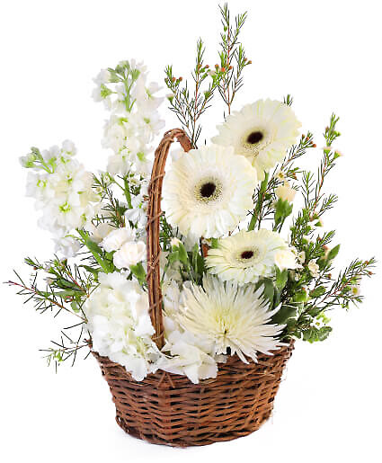 Pristine White Basket